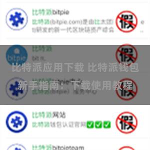 比特派应用下载 比特派钱包新手指南：下载使用教程