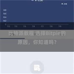 比特派教程 选择Bitpie的原因，你知道吗？