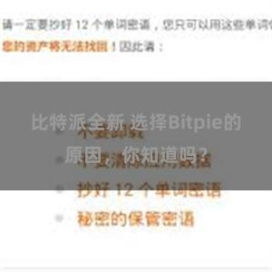 比特派全新 选择Bitpie的原因，你知道吗？