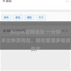 Bitpie官网地址 一分钟上手比特派钱包，轻松管理多链资产