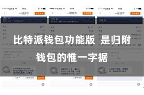 比特派钱包功能版  是归附钱包的惟一字据